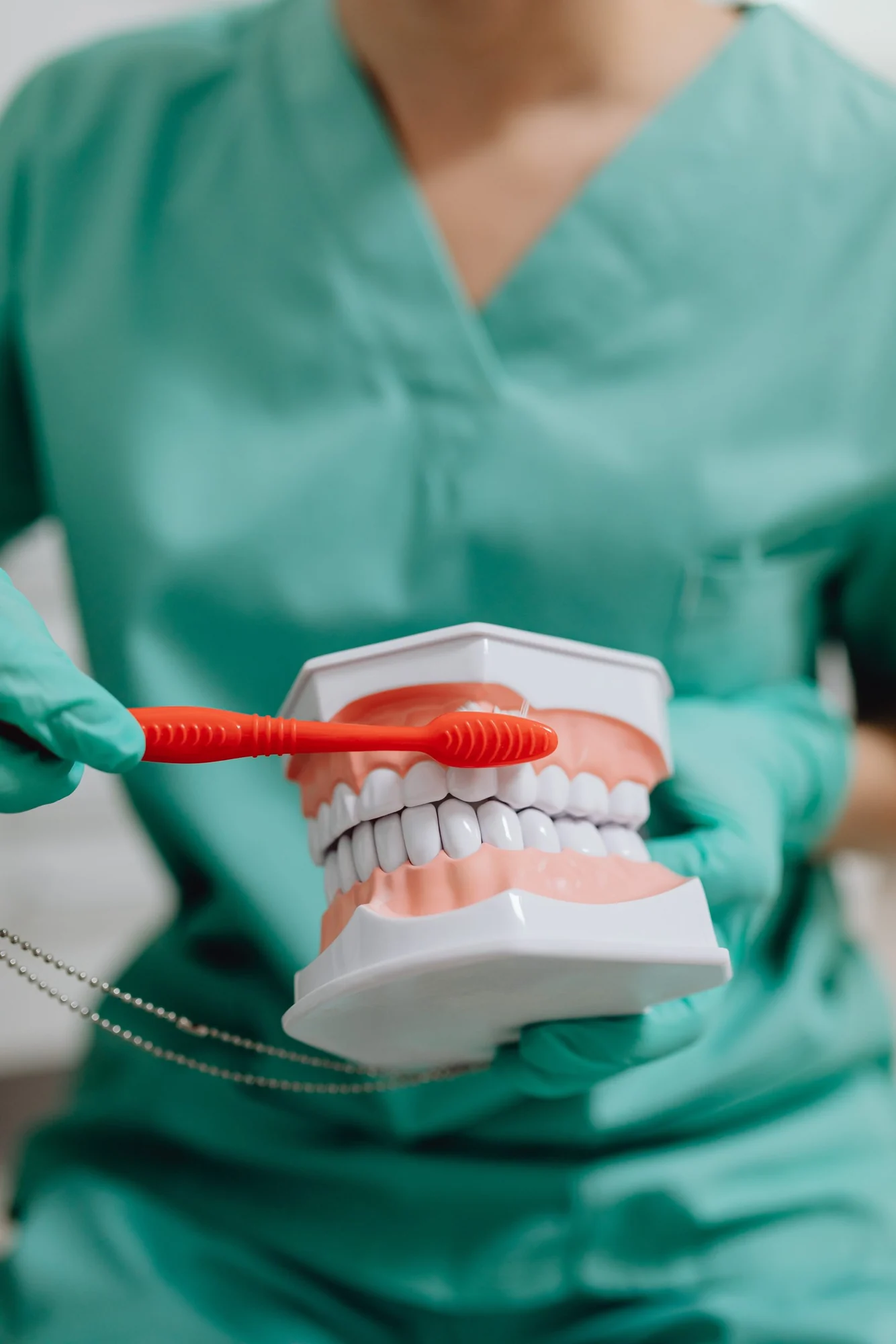 A dental professional holding a model of a dental arch